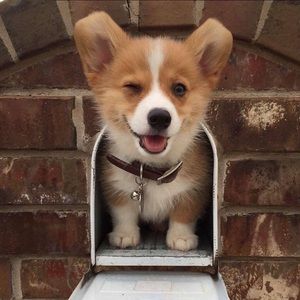 Meet your Posher, Natalie